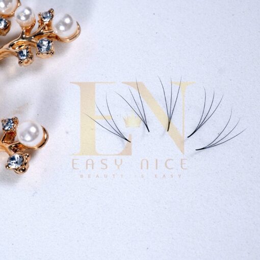3d premade fan lashes