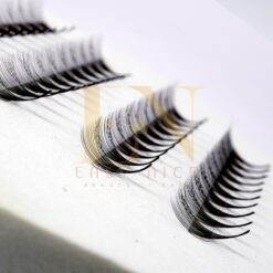 14d promade lash strip fans