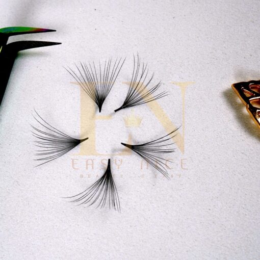 16d loose promade fans