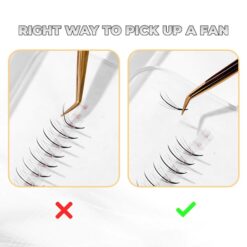 5d strip wispy fans