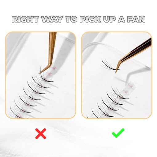 5d strip wispy fans