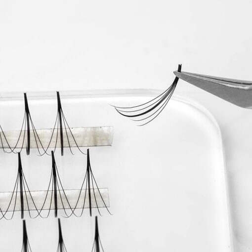 5d strip wispy fans