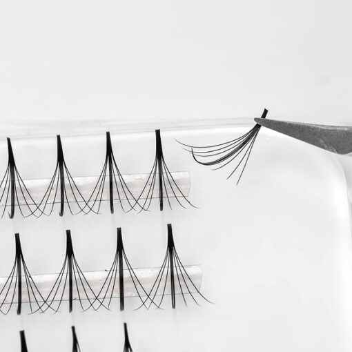 7d promade wispy on strips