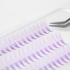 colored promade fans purple color