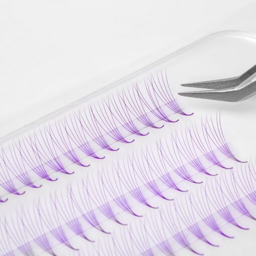 colored promade fans purple color