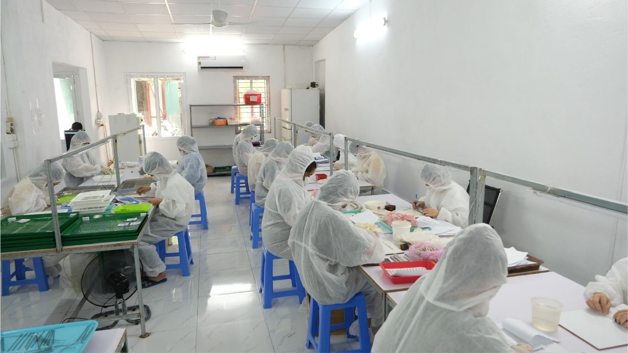 vietnam eyelash factory easynicelashes