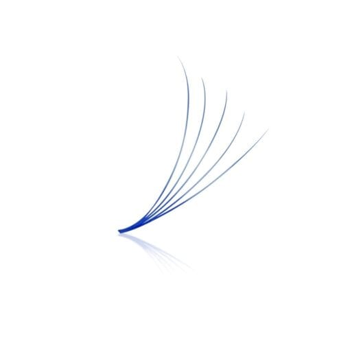blue lash fans