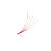 bright red lash fans