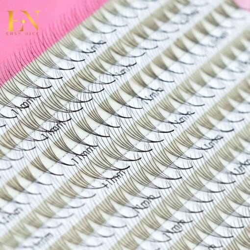 closed lash fans