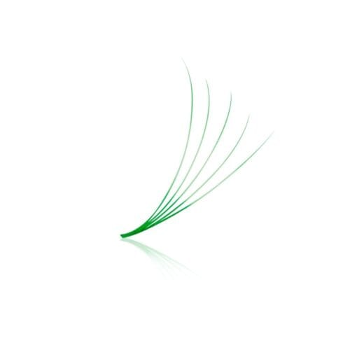 green lash fans