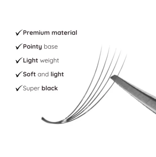 narrow eyelash fan