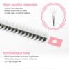 narrow promade lash fans