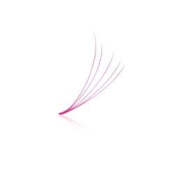 pink lash fans