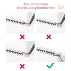 premade lash fans guide