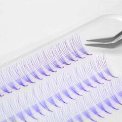 purple premade lash fans wholesale