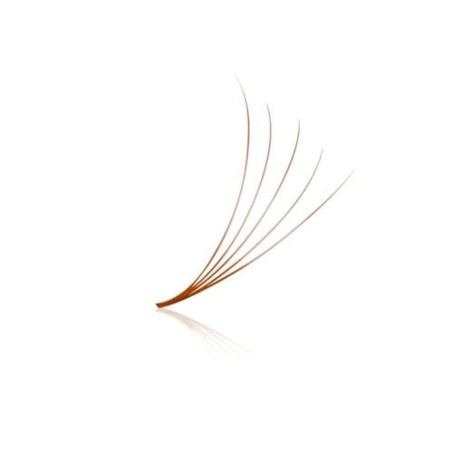 rust brown lash fans