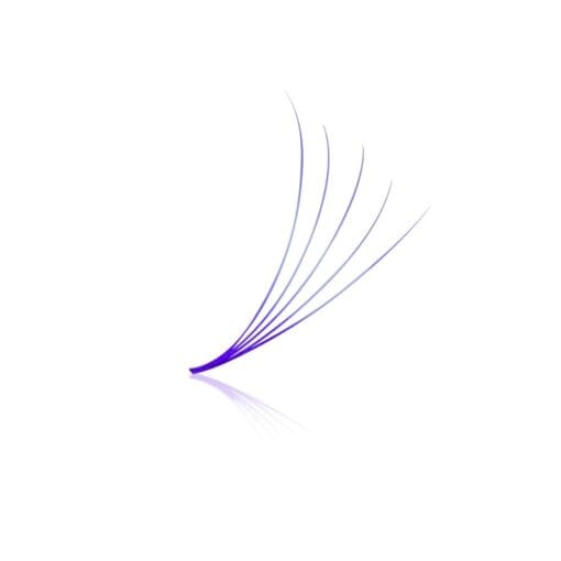violet lash fans