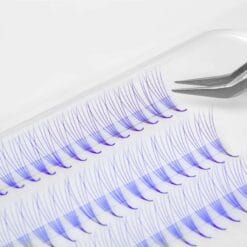 violet premade lash fans wholesale