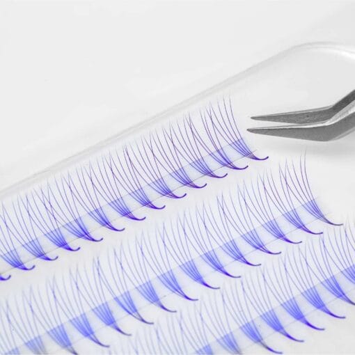 violet premade lash fans wholesale