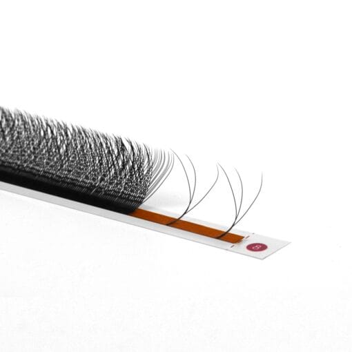 w lash 3d