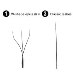 w lash vs regular lash