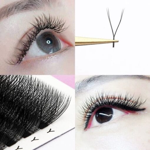 yy lash vietnam