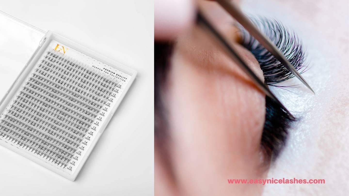 premade fans for european market