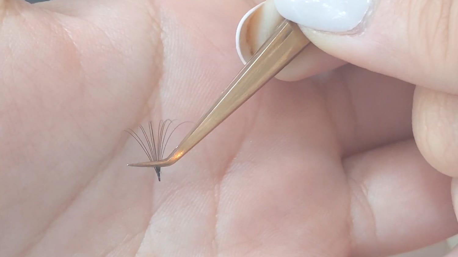 how to make a lash fan