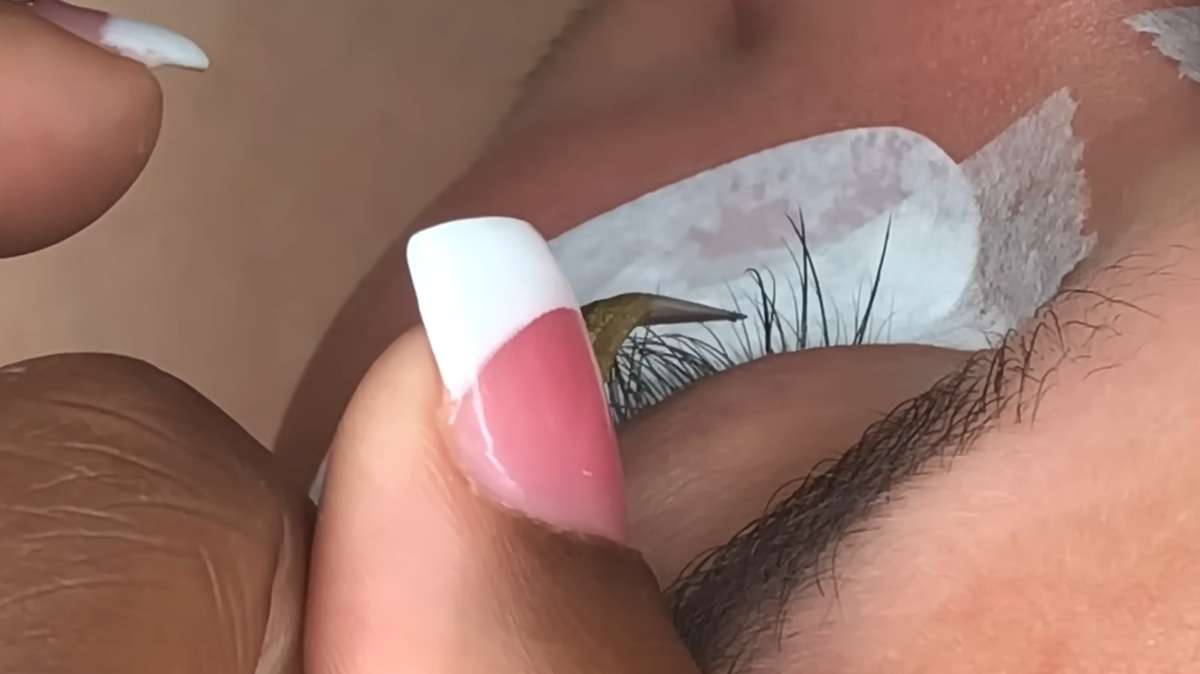 guide for eyelash technician