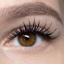 wet lashes vs classic
