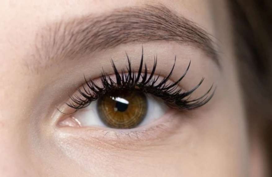 wet lashes vs classic