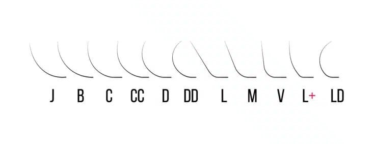 lash curl chart