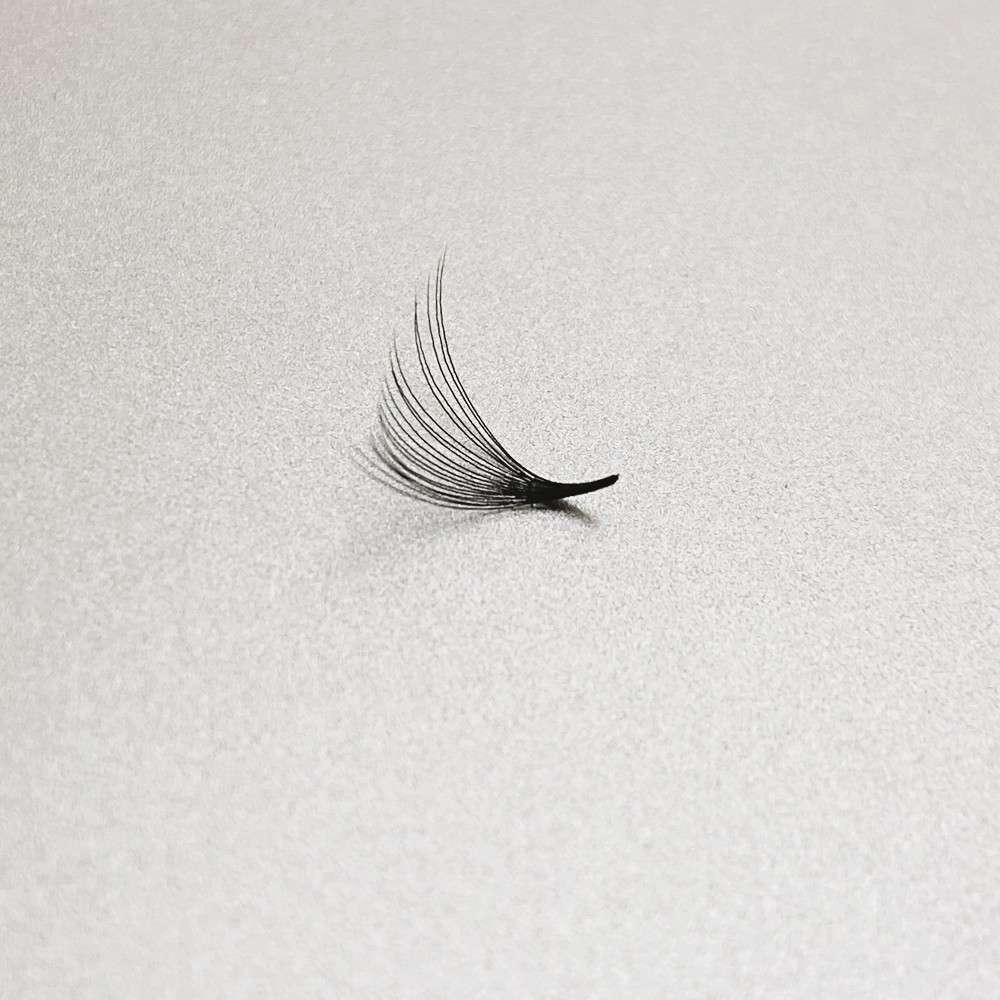 20d premade lash fans