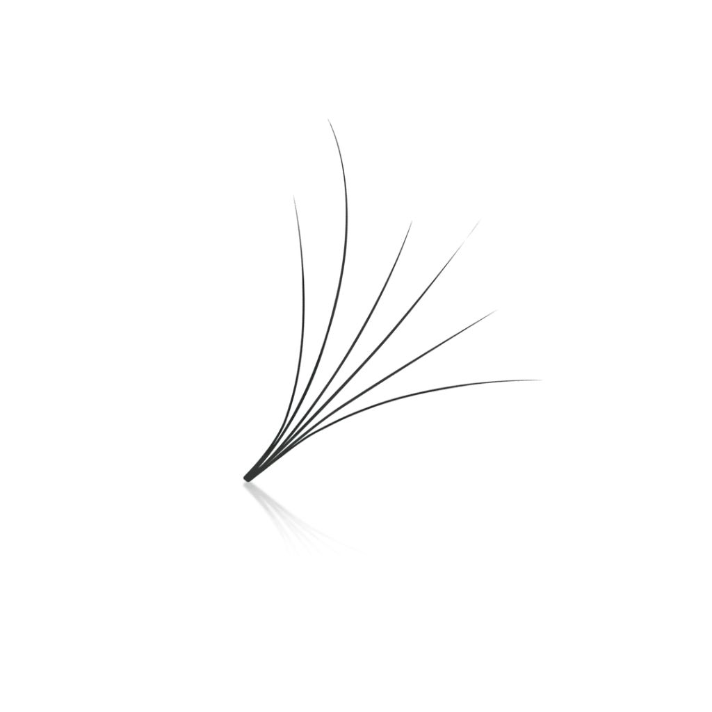 6d camellia promade fan