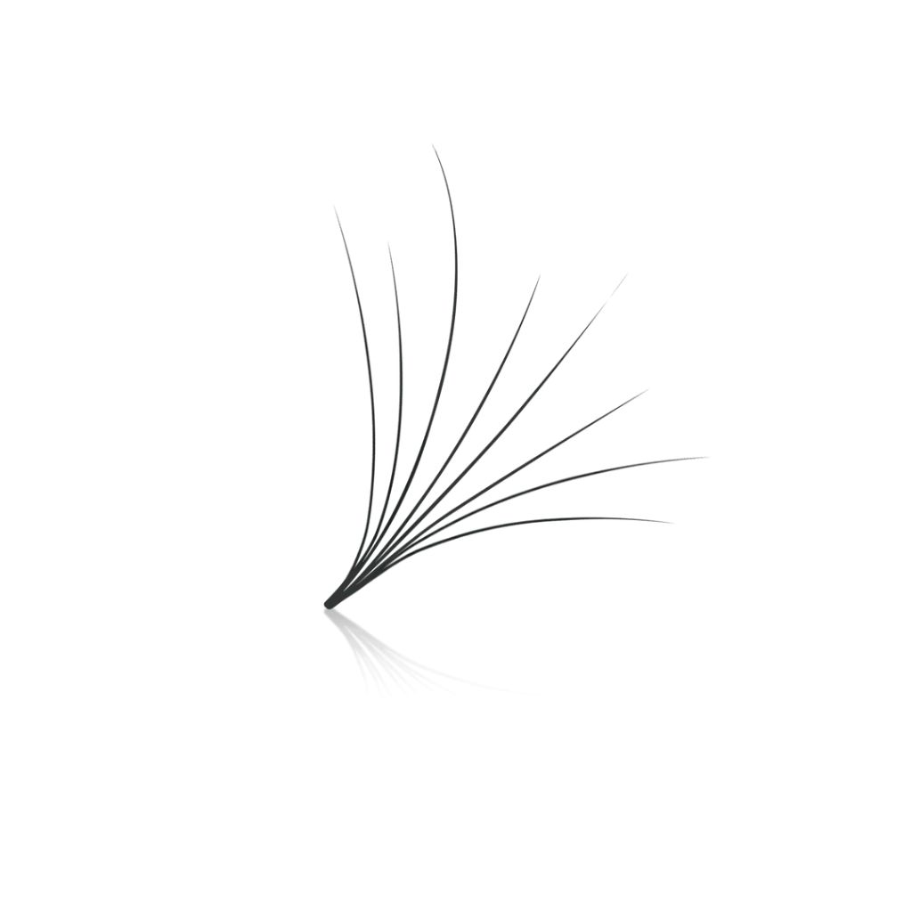8d camellia premade lashes